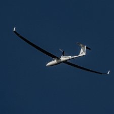 Gliders-Portmoak-2022-03-28