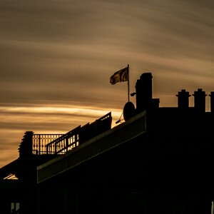 2022-01-16 Kelso Races 2022-01-16