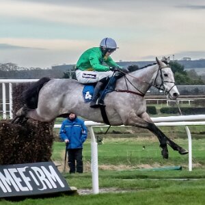 2023-12-29 Photos taken on a very dull day using a Sony RX100 MII compact camera.