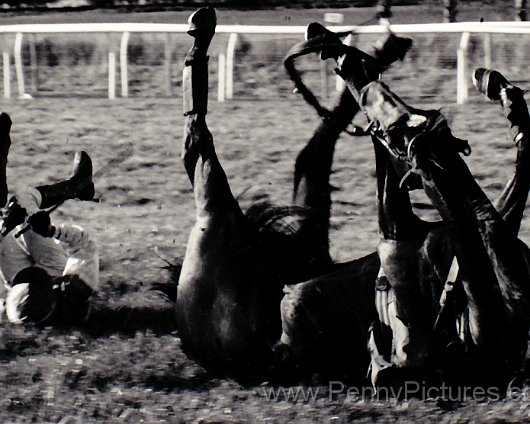 Horse-Racing-Scans-35mm-AYR-10