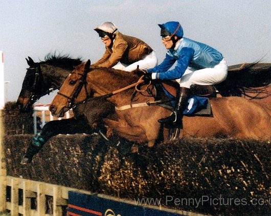 Horse-Racing-Scans-35mm-Ayr-9
