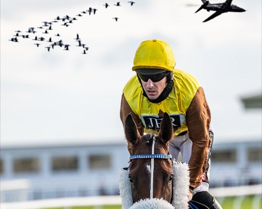 Horse-Racing-Misc-A-Digital-RevisionHorse-Racing-1