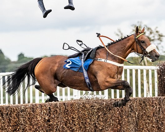 Horse-Racing-Misc-A-Digital-RevisionHorse-Racing