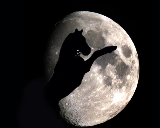 Horse-Racing-Misc-Against-The-Moon-Digital-Manipulation-2