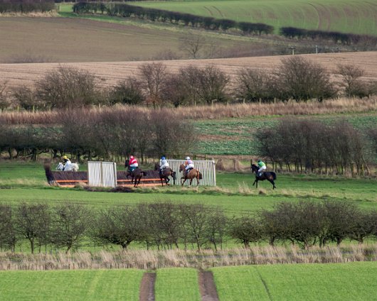 Horse-Racing-Misc-Alnwick-Point-To-Point-2016-3