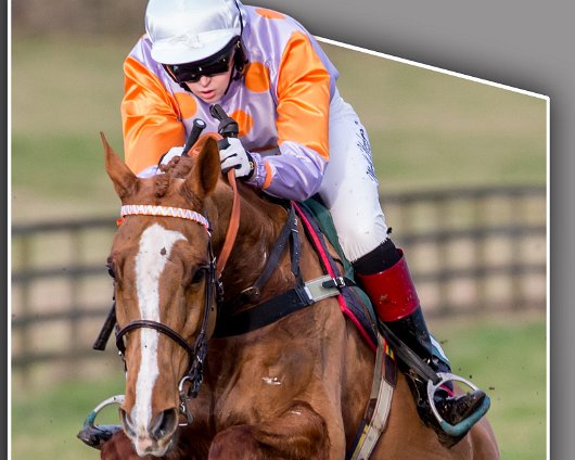 Horse-Racing-Misc-Alnwick-Point-To-Point-2016-4