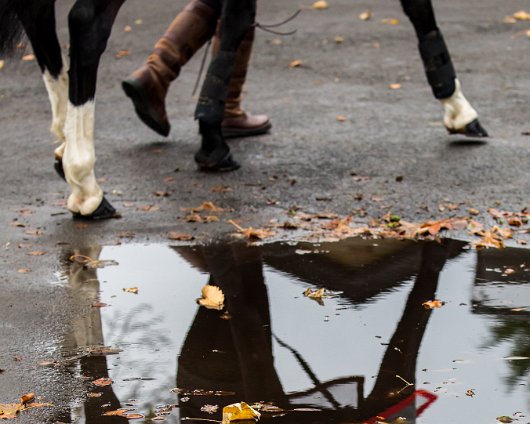 Horse-Racing-Misc-Ayr-Racecourse-Reflection