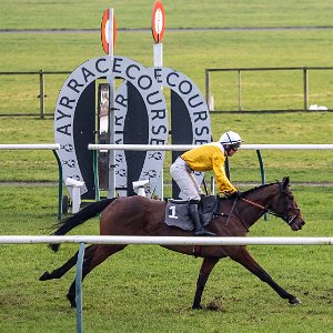 Ayr 2023-02-14 Apple Away