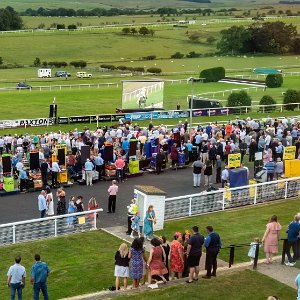 2023-06-25 Photographs taken mainly from the Enderby Box using a Sony RX100 MII comp[act camera.