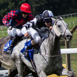 Pontefract Pontefract Racecourse is a thoroughbred horse racing venue located in Pontefract, West Yorkshire, England.