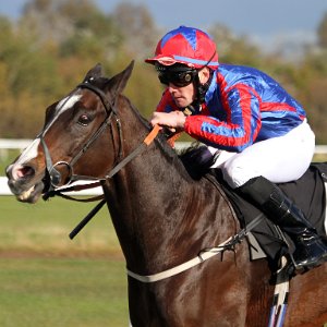 2005 - 2014 Musselburgh Racecourse is a horse racing venue located in the Millhill area of Musselburgh, East Lothian, Scotland, UK,...