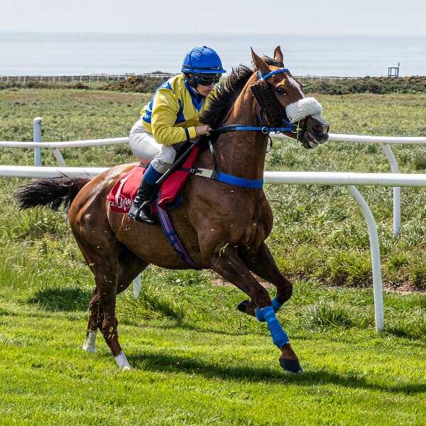 Jersey Les Landes Racecourse, the most southerly racecourse in the United Kingdom.