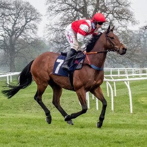 2023-04-27 Photographs taken on a very dull day using a Sony RX100 M2 compact camera.