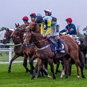 2023-05-17 Photographs taken on a very dull evening using a Sony RX100 M2 compact camera