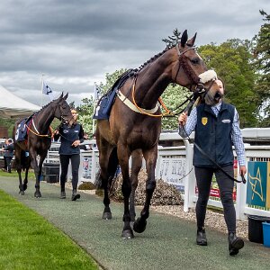 2023-05-18 Photographs taken using a Sony RX100 M2 compact camera