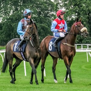 2023-08-19 Photographs taken with a Canon G9 compact camera which is 16 years old.