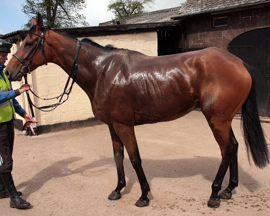 2011-05-28-Outlaw-Tom-1