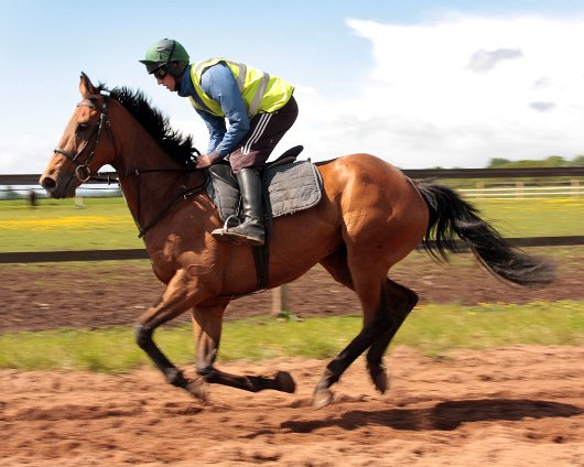 2011-05-28-Outlaw-Tom-3