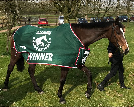 2017-04-09-One-For-Arthur-Grand-National-Winner-016