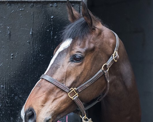 2017-04-09-One-For-Arthur-Grand-National-Winner-02