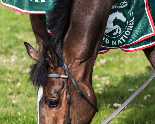 2017-04-09-One-For-Arthur-Grand-National-Winner-020