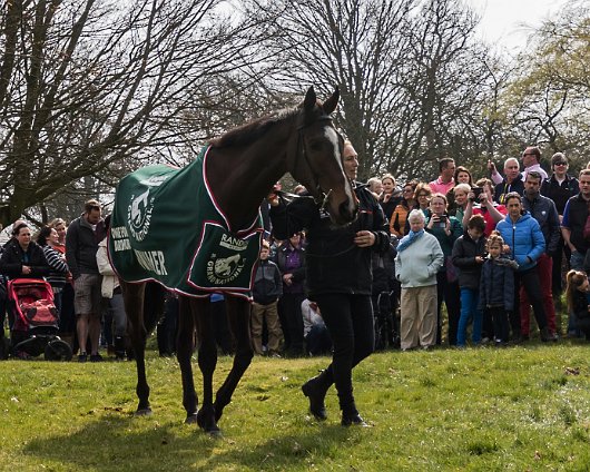 2017-04-09-One-For-Arthur-Grand-National-Winner-08