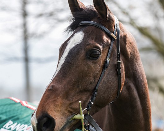 2017-04-09-One-For-Arthur-Grand-National-Winner-09