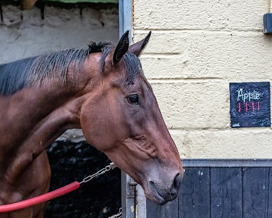 2022-09-22-2-Apple-Away