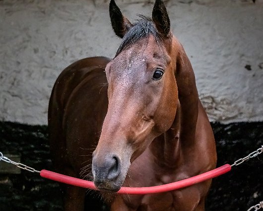 2022-09-22-3-Apple-Away