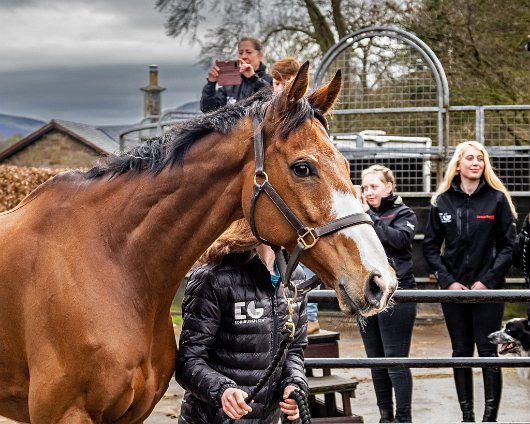 2023-Corach-Rambler-Grand-National-Winner-10