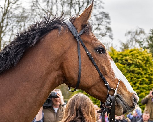 2023-Corach-Rambler-Grand-National-Winner-15