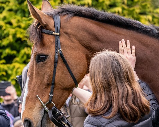 2023-Corach-Rambler-Grand-National-Winner-18