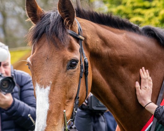 2023-Corach-Rambler-Grand-National-Winner-19
