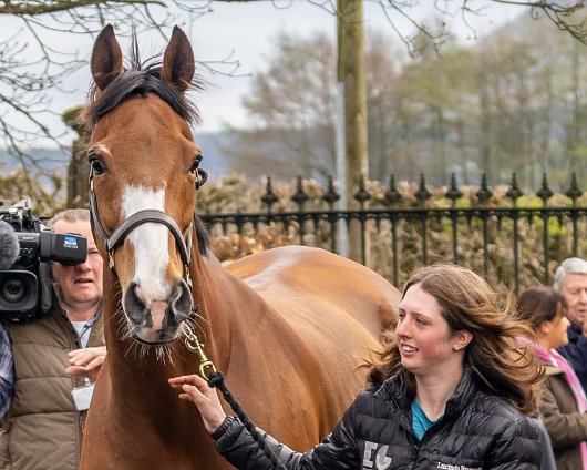 2023-Corach-Rambler-Grand-National-Winner-4