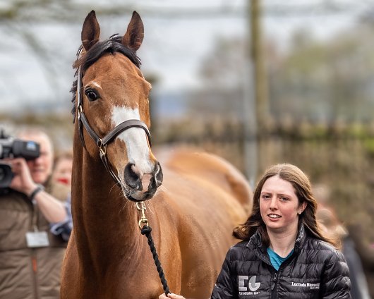 2023-Corach-Rambler-Grand-National-Winner-5