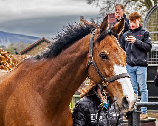 2023-Corach-Rambler-Grand-National-Winner-9