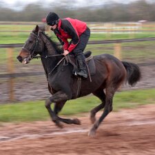 2010 Lucinda Russell Racing Stables 2010-Photographs taken at the two yards operated by Lucinda Russell.
