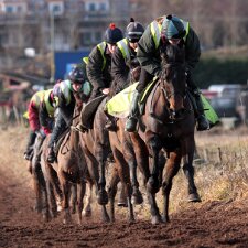 2011-2012 Lucinda Russell Racing Stables 2011-2012-Photographs taken at the two yards operated by Lucinda Russell.