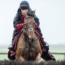 2015-2016 Lucinda Russell Racing Stables 2015-2016-Photographs taken at the two yards operated by Lucinda Russell.