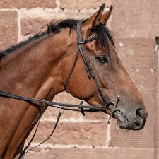 2018 Lucinda Russell Racing Stables 2018-Photographs taken at the two yards operated by Lucinda Russell.