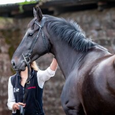 2019 Lucinda Russell Racing Stables 2019-Photographs taken at the two yards operated by Lucinda Russell.