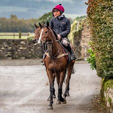 Old Gold Racing Sept 2023