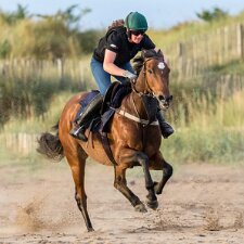 On The Beach Training St Andrews beach with 3 racehorses from Lucy Normile's Racing Stable.