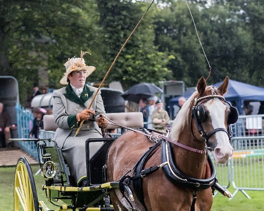 Perth-Show-2017-Carriage-Driving-1