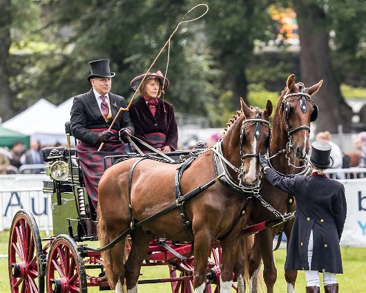 Perth-Show-2017-Carriage-Driving-11