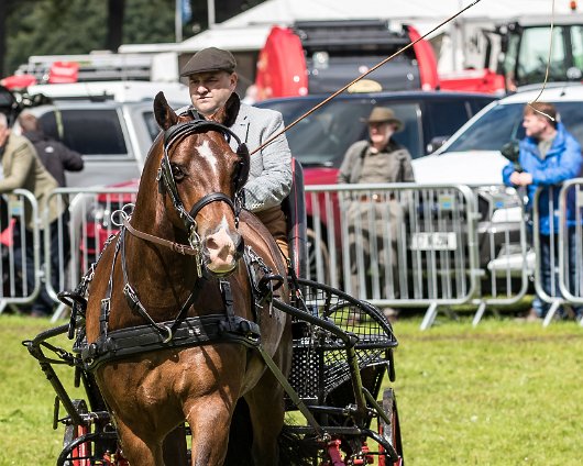 Perth-Show-2017-Carriage-Driving-12