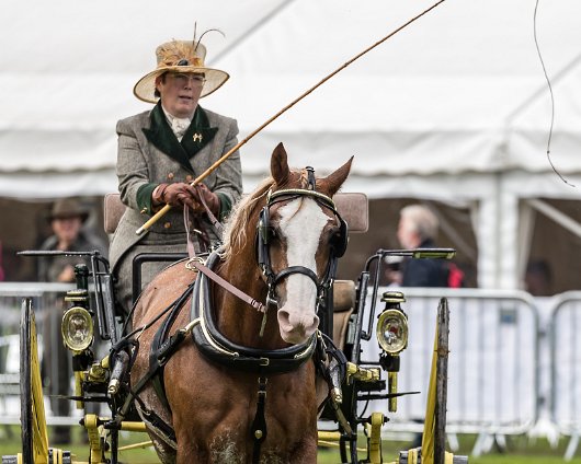 Perth-Show-2017-Carriage-Driving-14