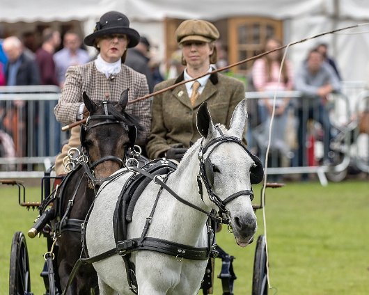 Perth-Show-2017-Carriage-Driving-15