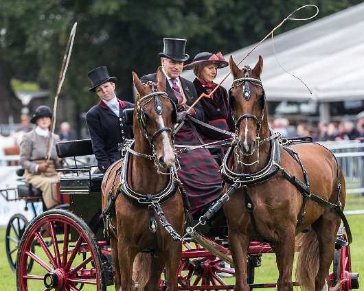 Perth-Show-2017-Carriage-Driving-16