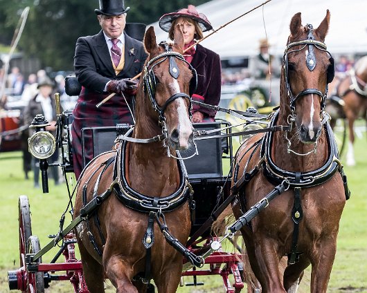 Perth-Show-2017-Carriage-Driving-17
